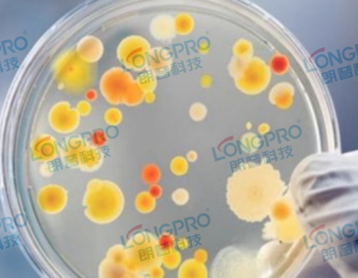 衛(wèi)生用品流水線(xiàn)紫外線(xiàn)殺菌滅菌utf-8